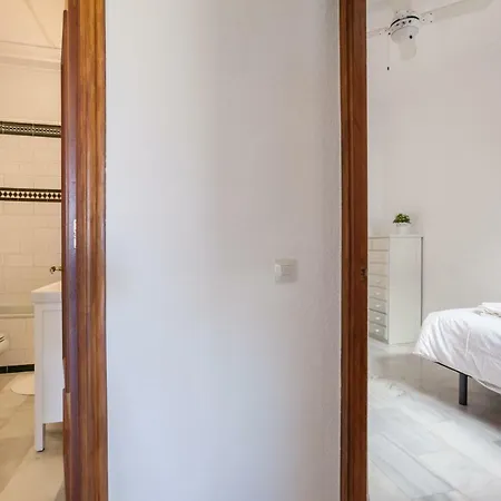 Atico San Laureano Centro Seville